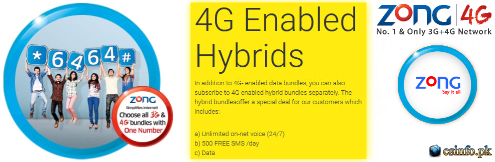 Zong Hybrid Bundles 