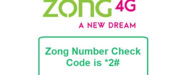 Zong Number Check Code