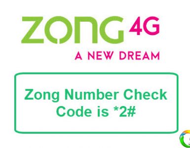 Zong Number Check Code