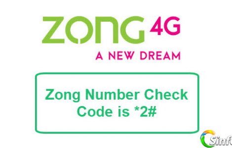 Zong Number Check Code