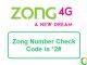 Zong Number Check Code