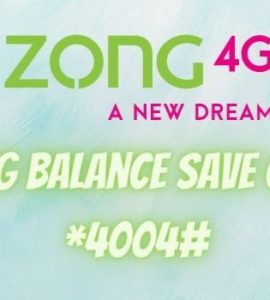 Zong Balance Save code