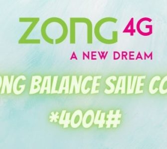 Zong Balance Save code