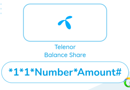 Telenor Balance Share