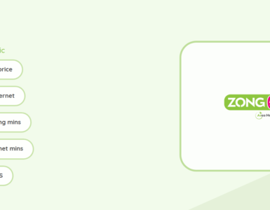 Zong Monthly Digital Max Basic bundle details