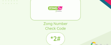 Zong Number Check Code