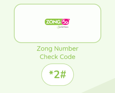 Zong Number Check Code